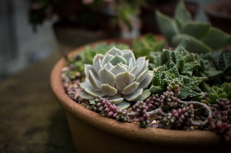 Terracotta Pot Wall Art
